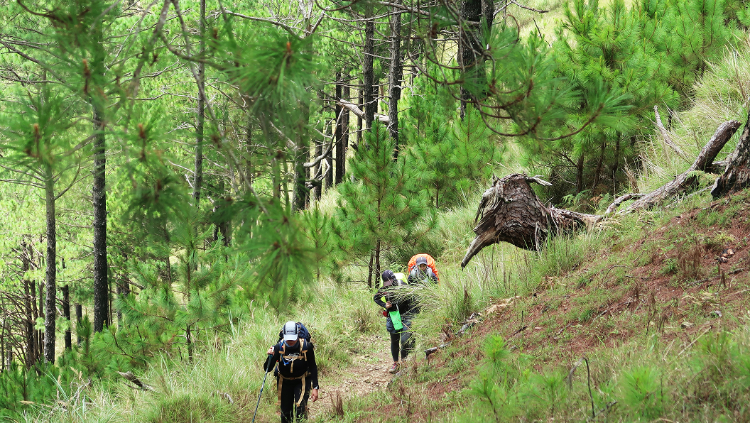 Randonneurs en montagne