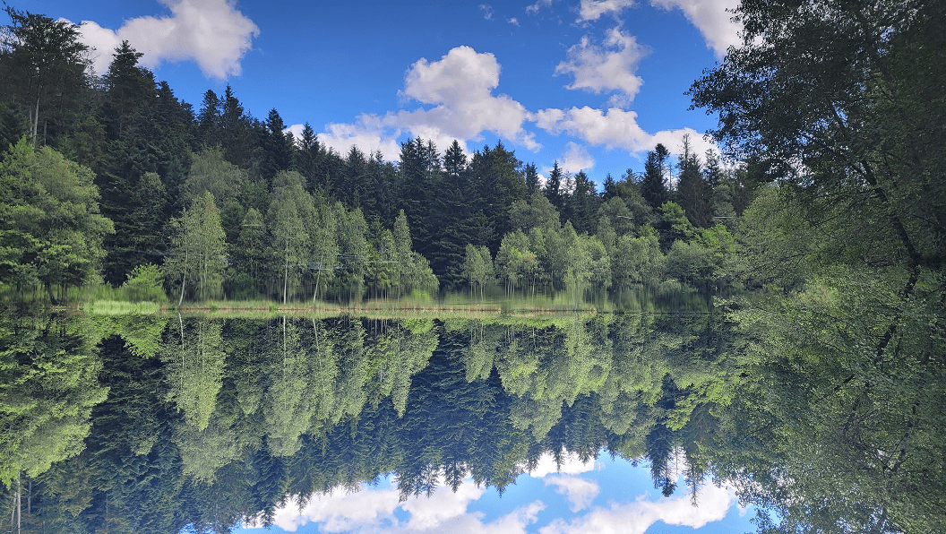 Lac de montagne