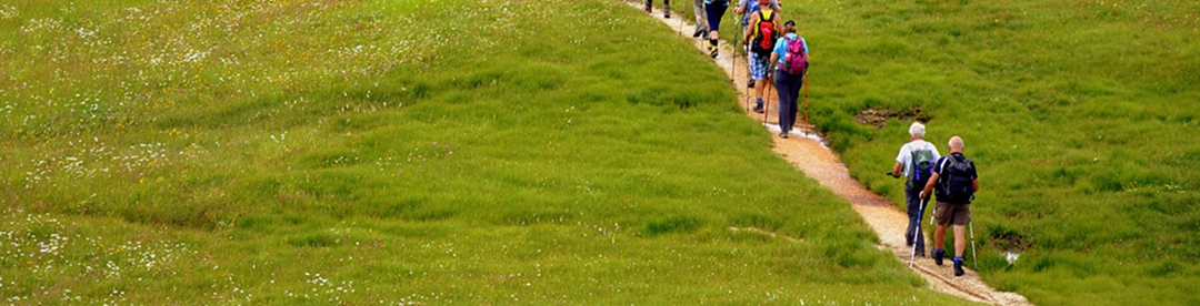 Personnes marchant sur un sentier